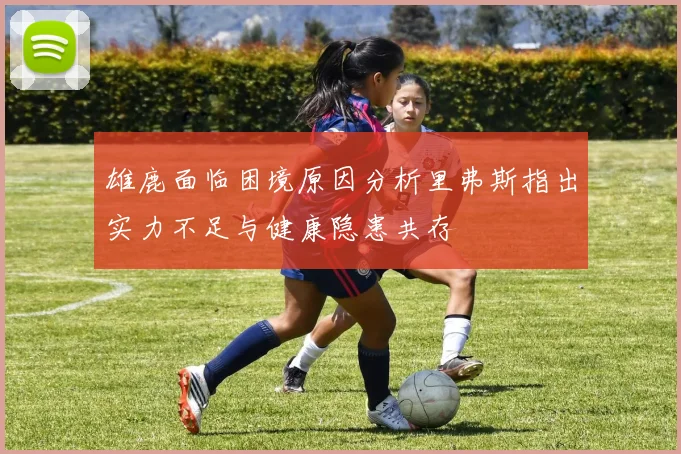 雄鹿面临困境原因分析里弗斯指出实力不足与健康隐患共存