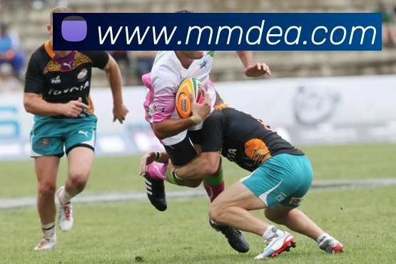 米兰官网地址平台生态图